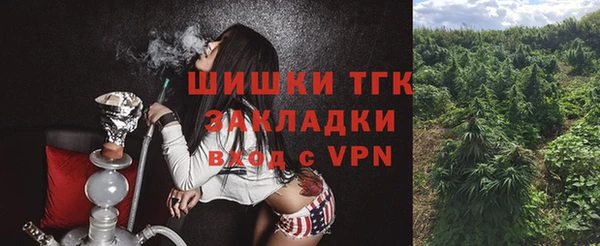 PSILOCYBIN Балабаново