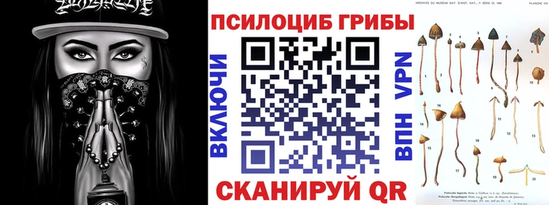 как найти закладки  Сковородино  omg как зайти  Галлюциногенные грибы Magic Shrooms 